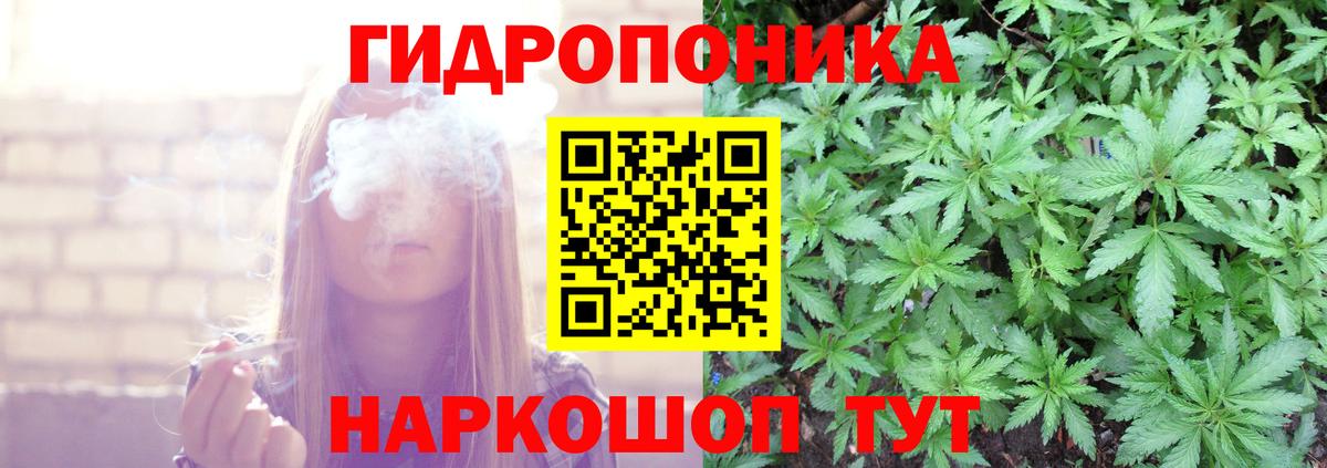 Бошки Шишки гибрид Новокубанск